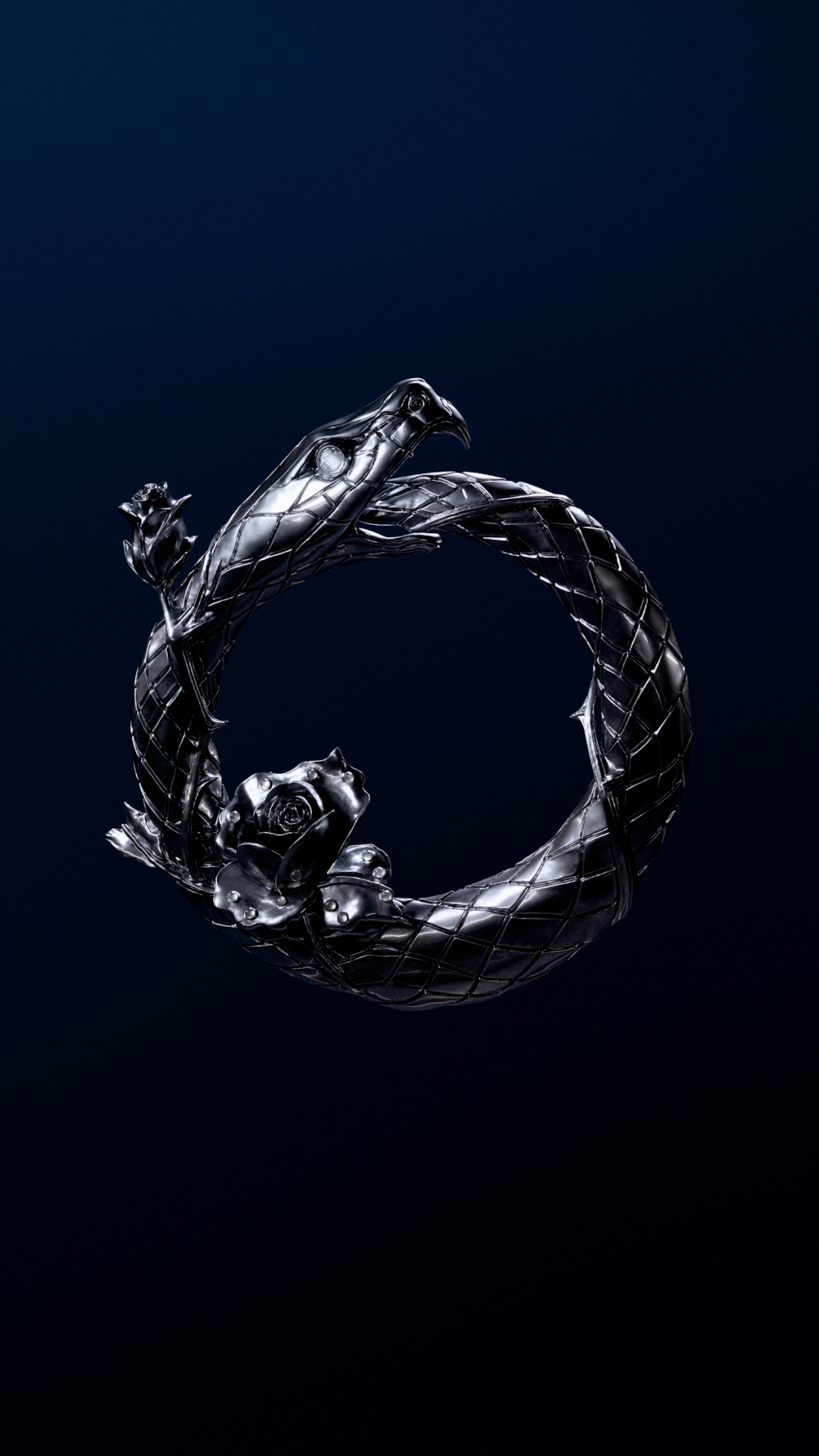 Cartel de la película 