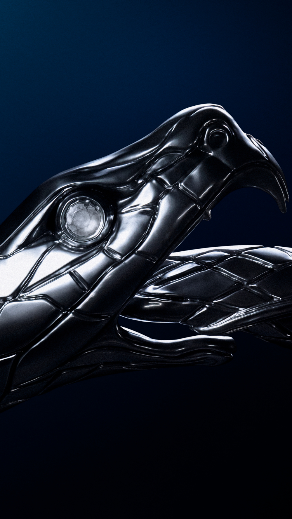 Cartel de la película 