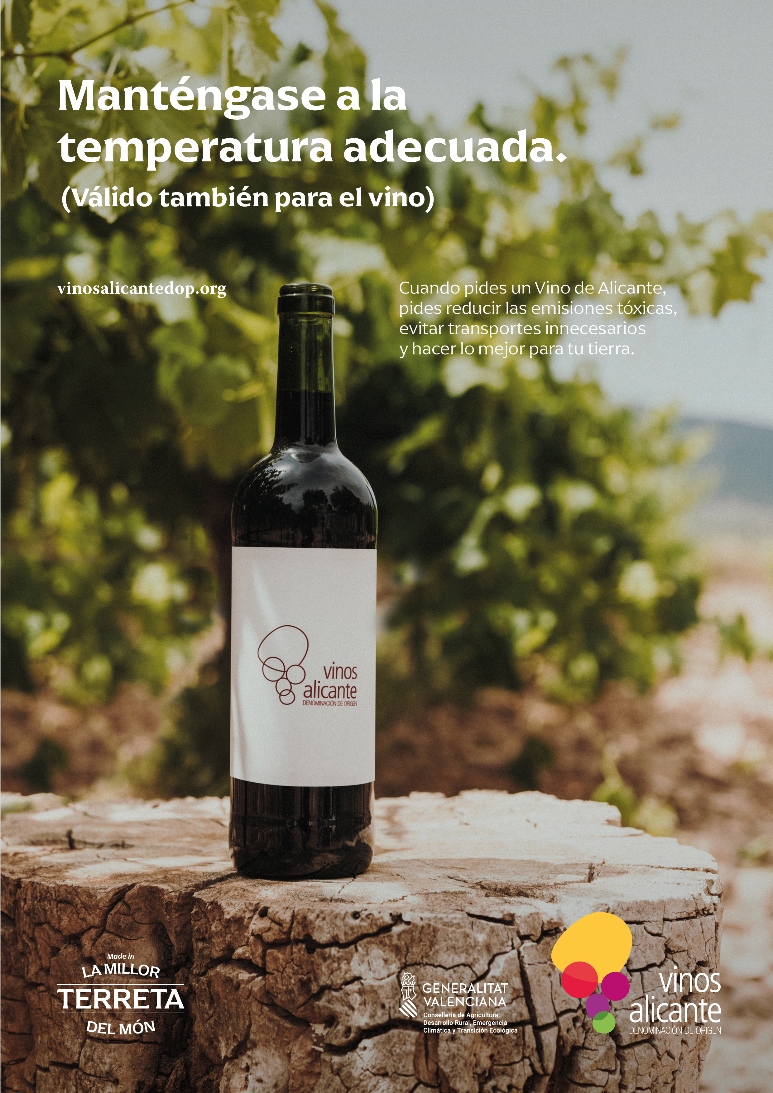 Vinos Alicante 3