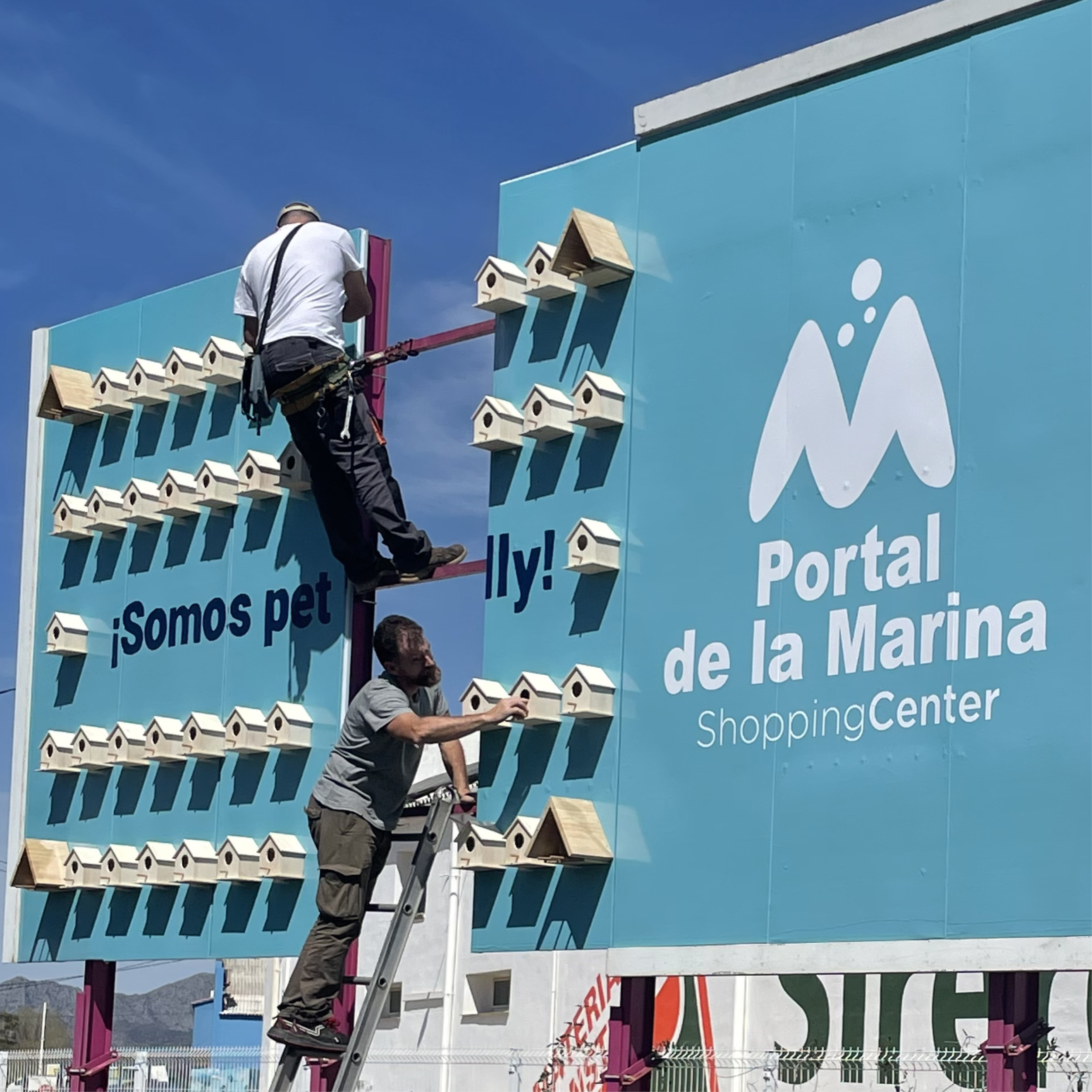 Portal de la Marina valla 6