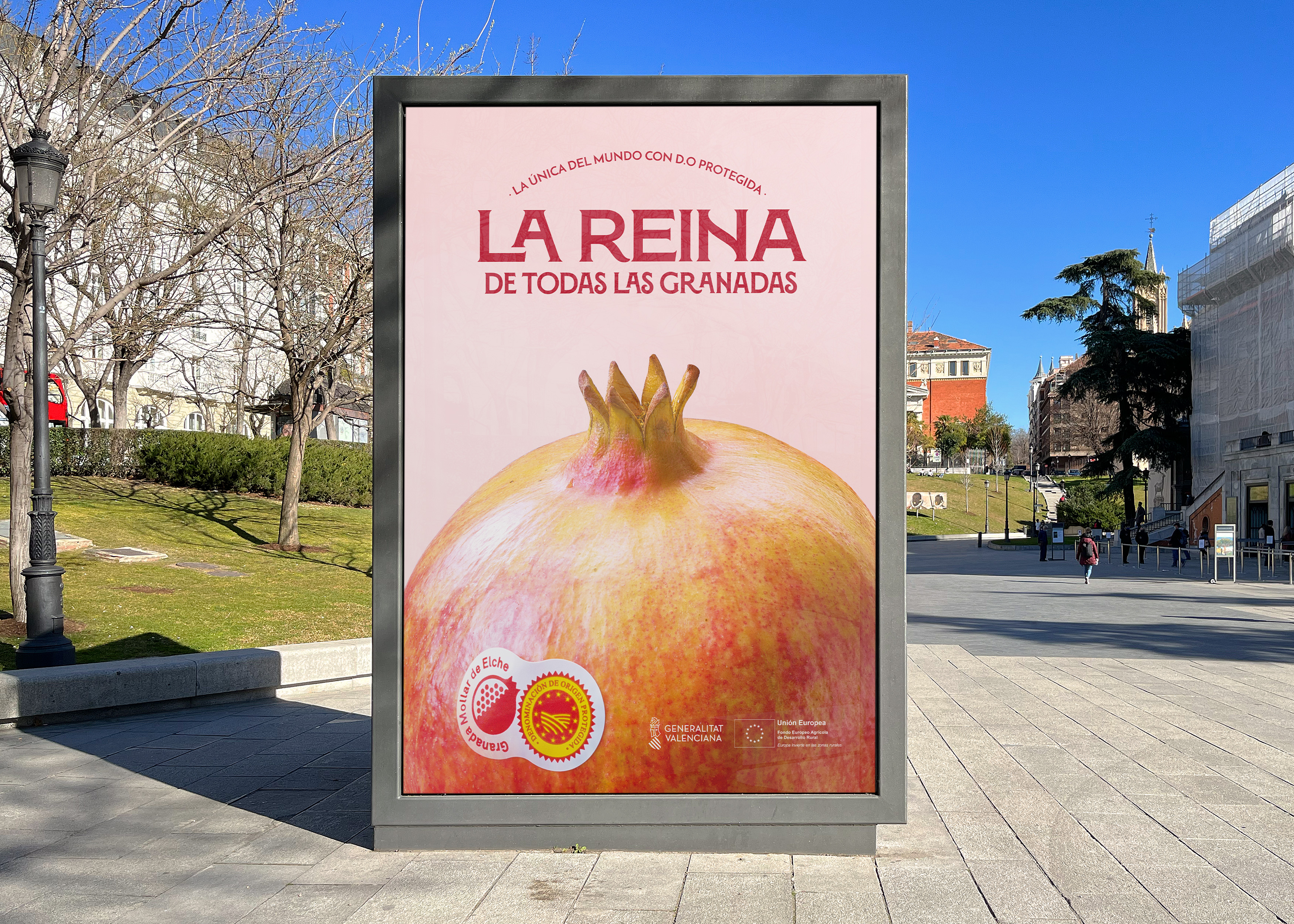 DO Granada Mollar de Elche - Alaska cuenta lo que te hace reina - Noviembre 2022 EXTERIOR 2