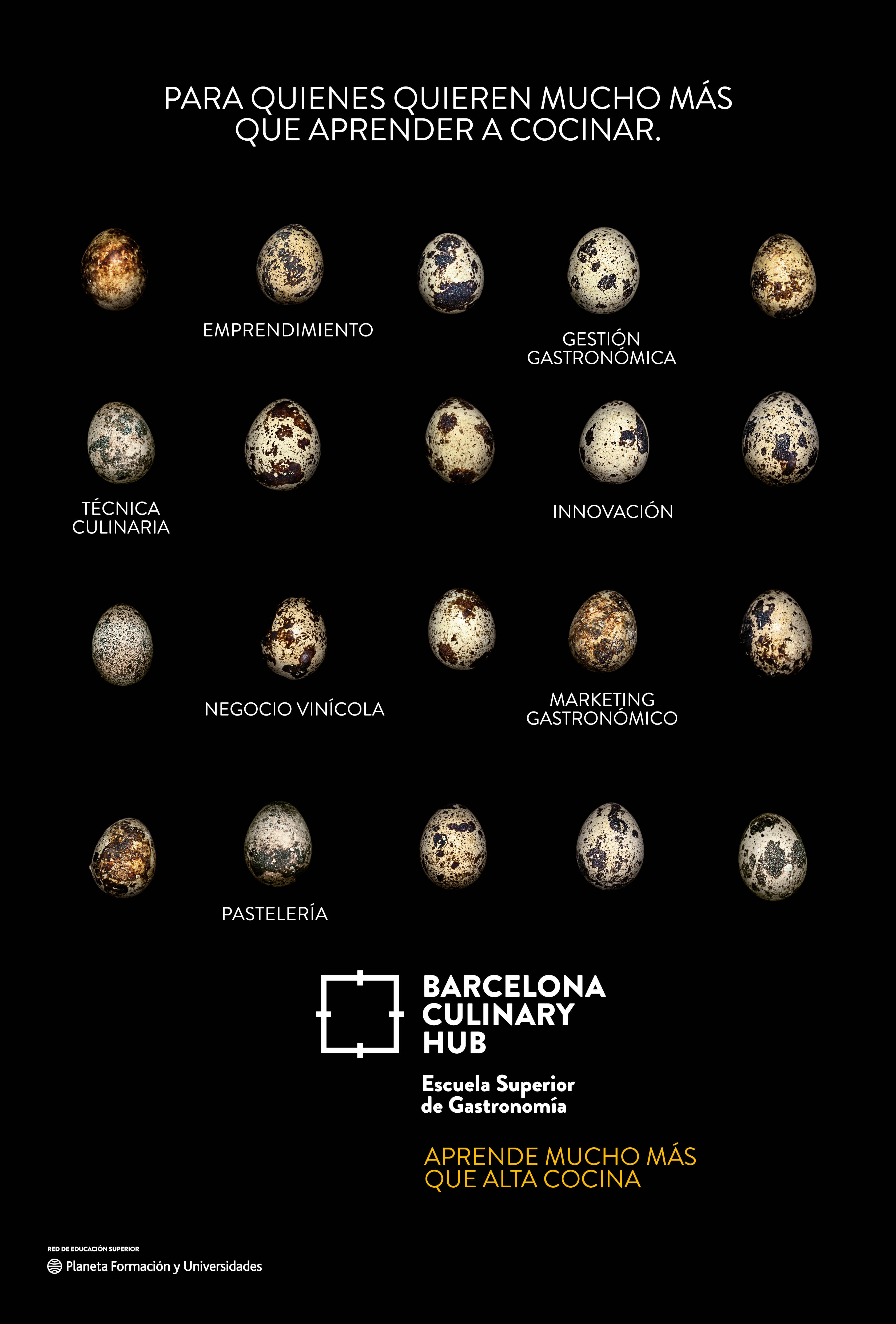 Barcelona Culinary Hub_Aprende mucho más que Alta Cocina_Gr 2. Junio 2023