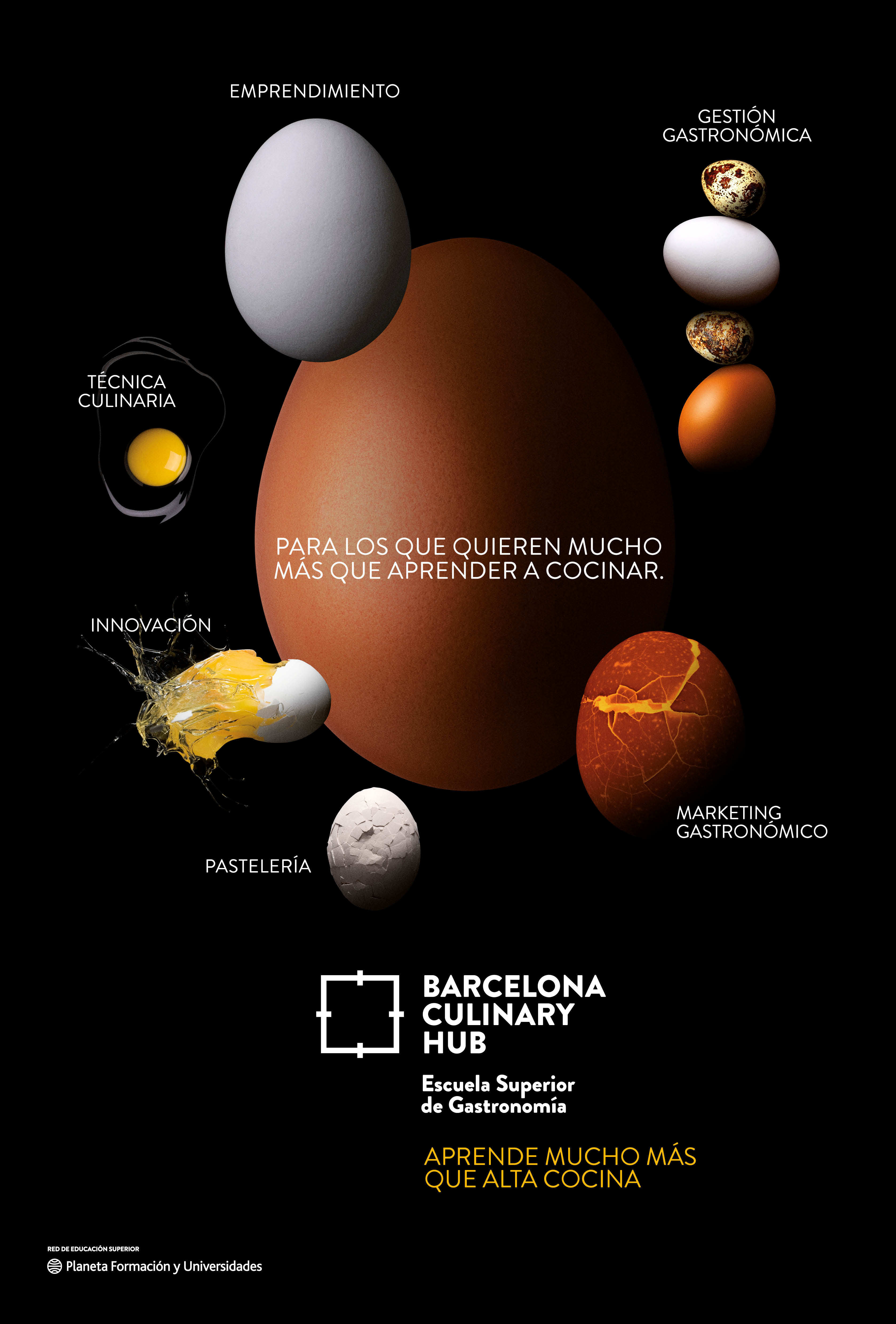 Barcelona Culinary Hub_Aprende mucho más que Alta Cocina_Gr 6. Junio 2023