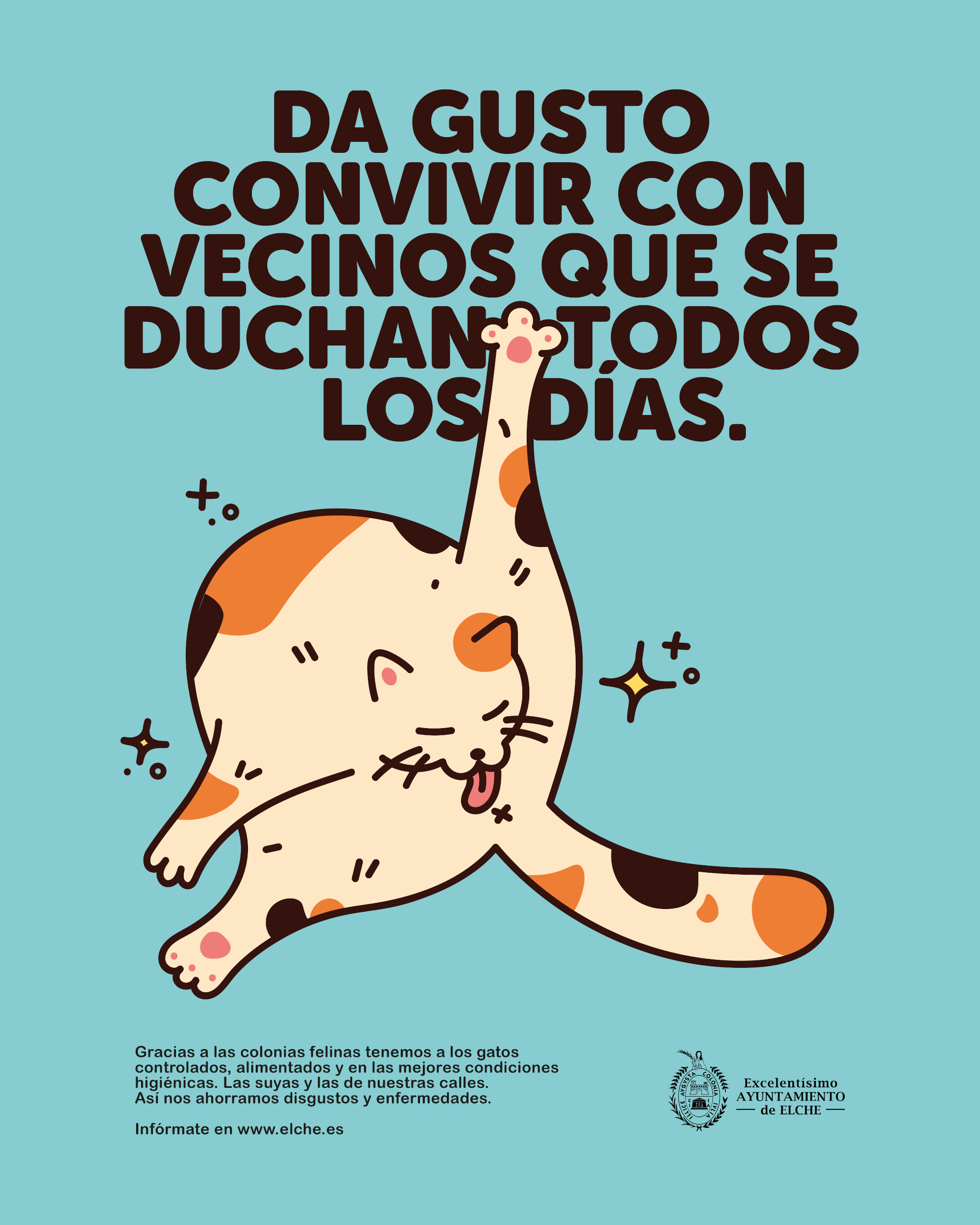 Ayuntamiento de Elche. Gr 1. Elche loves cats. Enero 2025