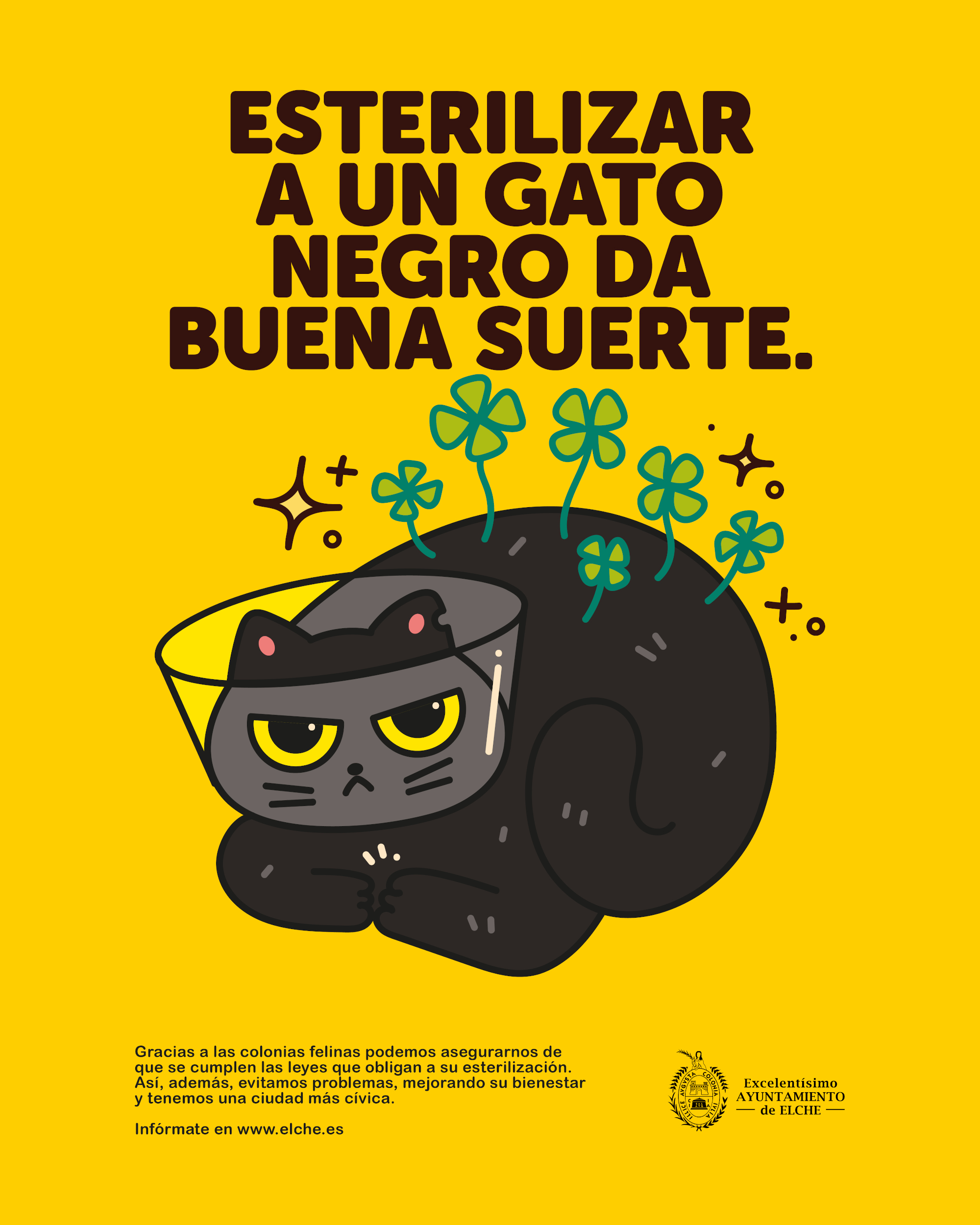 Ayuntamiento de Elche. Gr 3. Elche loves cats. Enero 2025