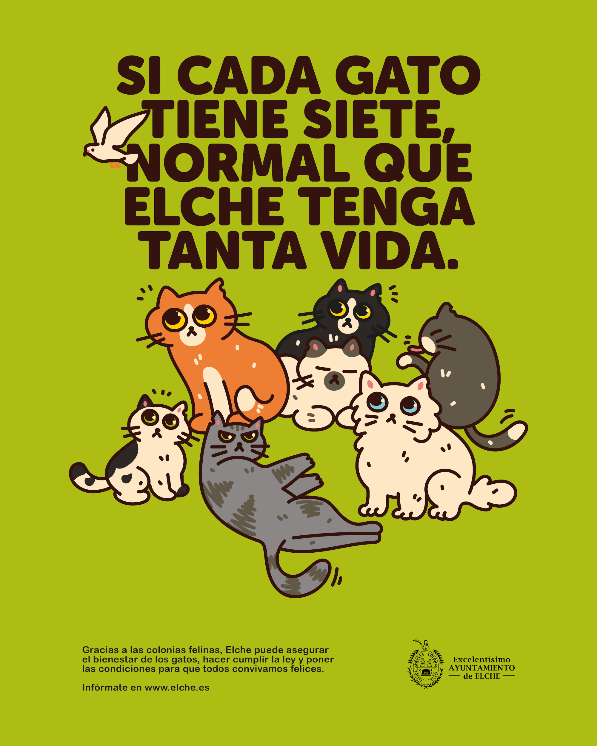 Ayuntamiento de Elche. Gr 4. Elche loves cats. Enero 2025
