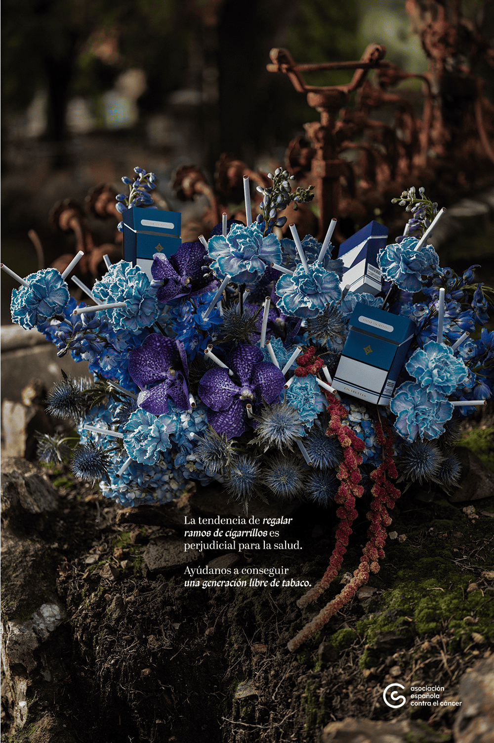 AECC Death Bouquet Mayo 2025 Gráfica 3