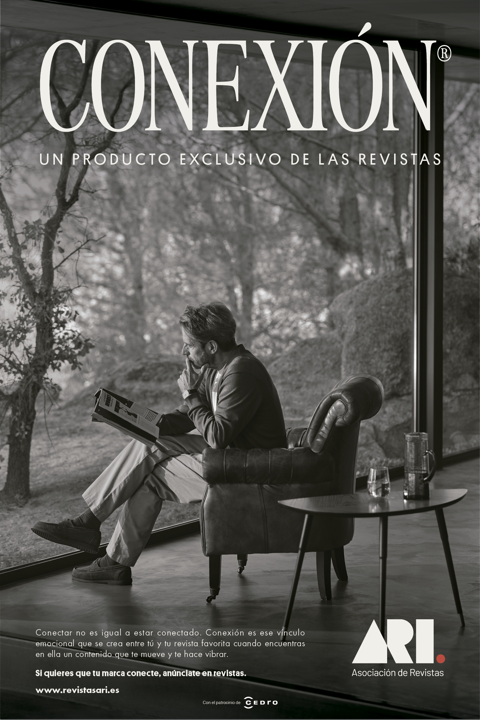 ARI. Conexión, atención, calma. Gr 2. Noviembre 2025