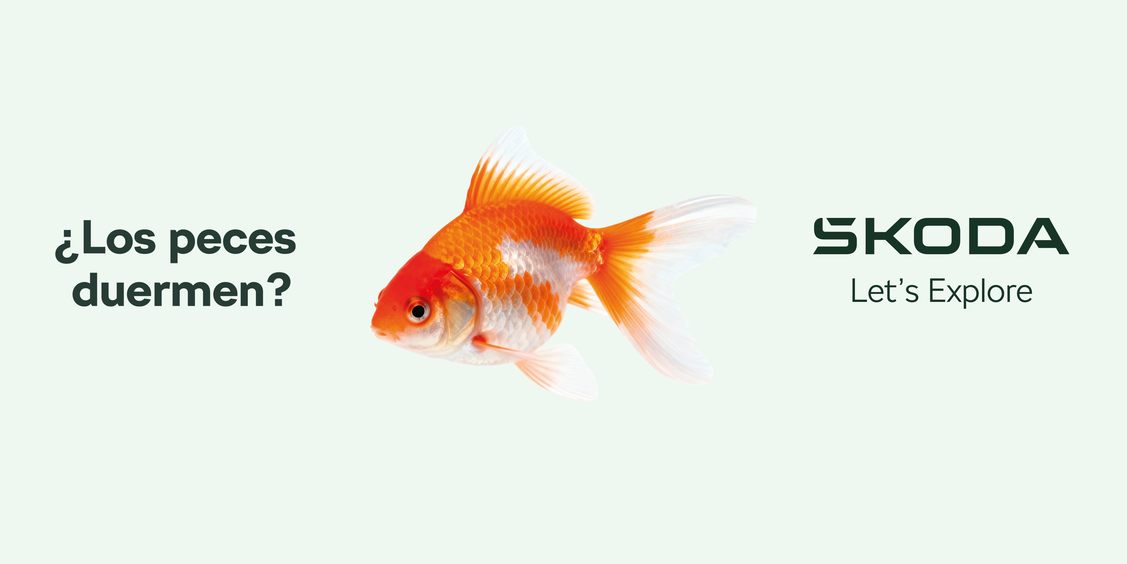 Skoda -Peces - Enero 2026