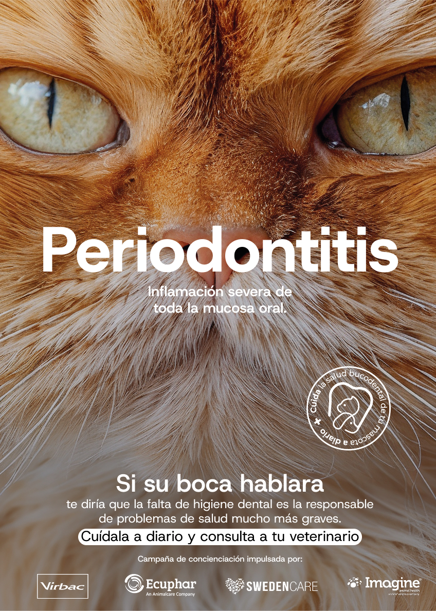 Virbac, Ecuphar, Swedencare e Imagine Animal Health. Gr 2. Marzo 2026