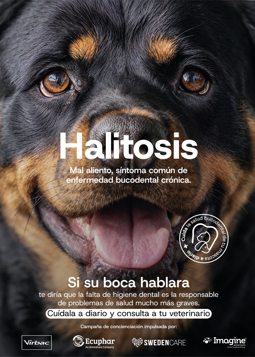 Virbac, Ecuphar, Swedencare e Imagine Animal Health. Gr 3. Marzo 2026