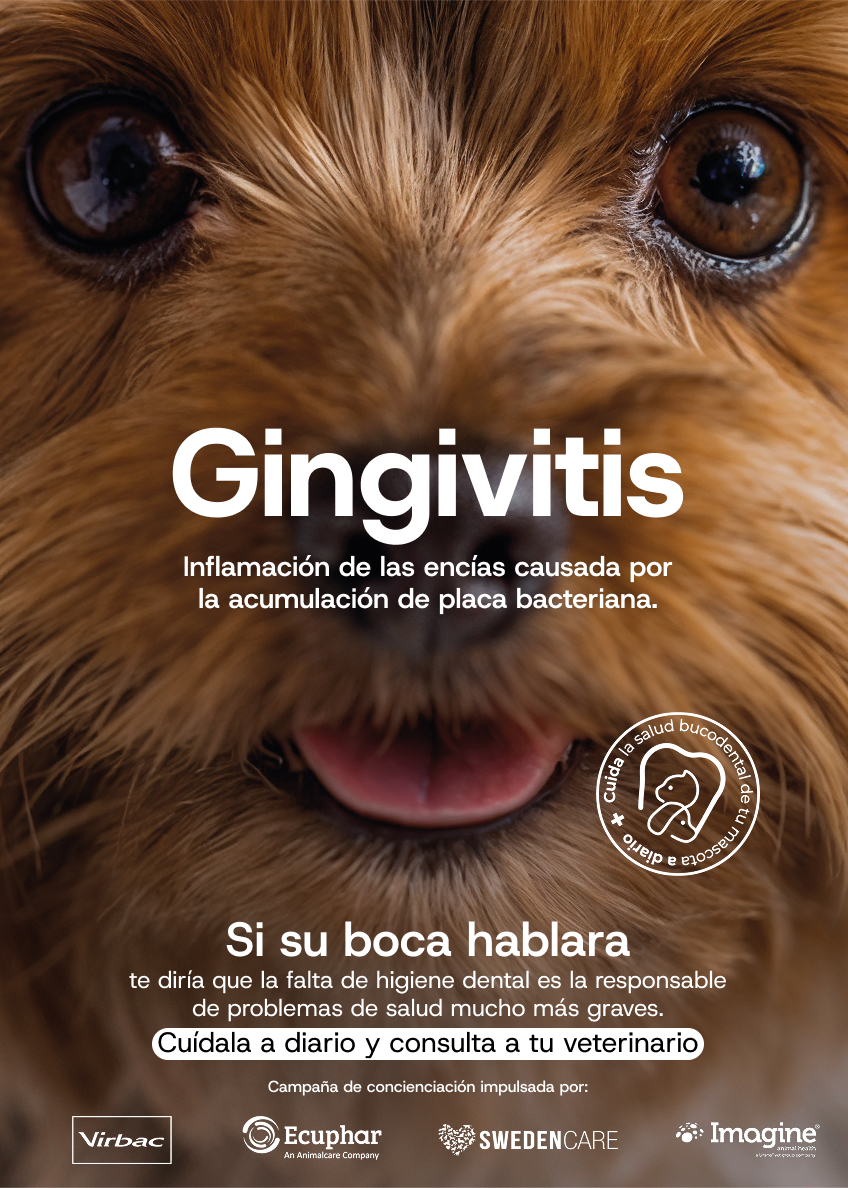 Virbac, Ecuphar, Swedencare e Imagine Animal Health. Gr 4. Marzo 2026