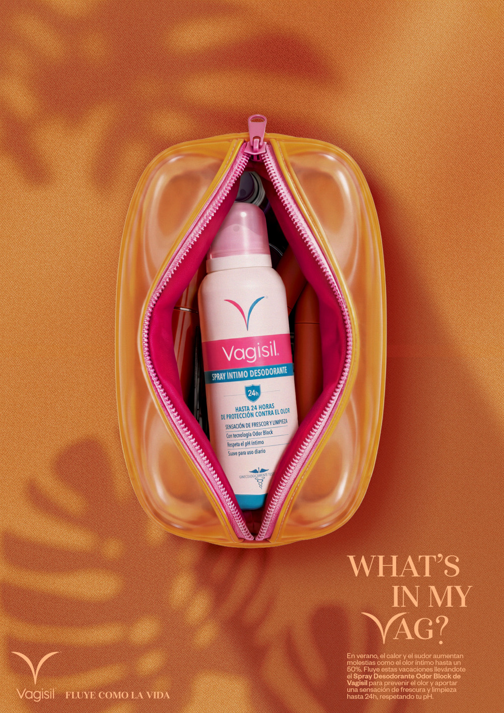 Vagisil. Whats in my vag. Gr 4. Julio 2026 OK