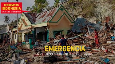 Carat colabora con el Comité de Emergencias en la ayuda a Indonesia