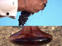 Vinos Alicante