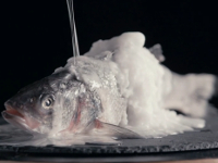 Aponiente