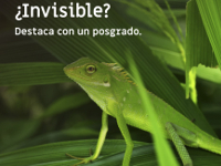 Instituto Europeo de Posgrado
