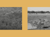 Misiones Salesianas