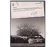 97-Rev-mitsubishi Montero