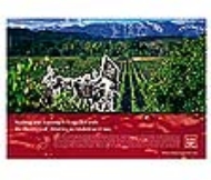 VINO RIOJA
