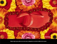 Havaiana Flash (Brasil)