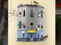 SEO/BirdLife