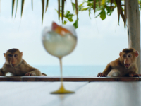 Schweppes