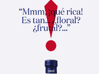 Nordés