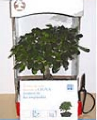 CIGNA
