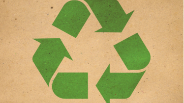 Sostenibilidad: la influencia de los sellos ecológicos en el consumo