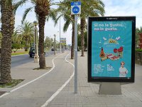 Ayuntamiento de Elche