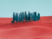 Pantone y los colores de la naturaleza