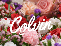 Colvin