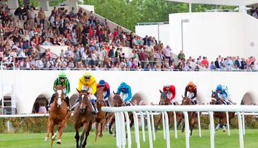 Orión Media, de nuevo adjudicataria de la cuenta de medios de Hipódromo de la Zarzuela