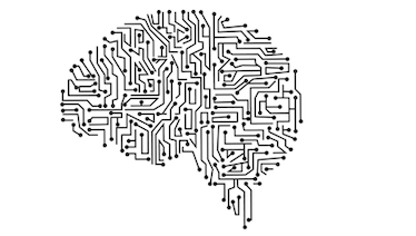 Insights+Analytics organiza un curso virtual sobre ‘behavioral economics’