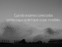 Movistar