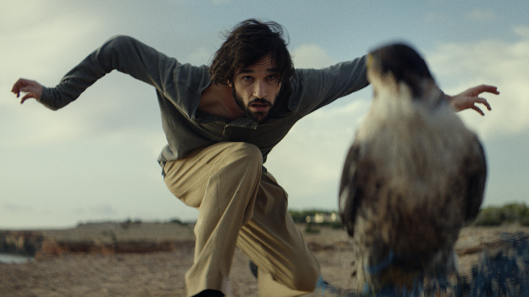 Nuevo reconocimiento para Estrella Damm, esta vez en los Premis Impacte