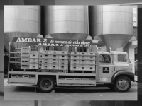 Ambar