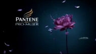 Pantene Pro-V