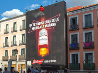 Budweiser