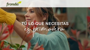 Nuevo cliente para Arnold Madrid