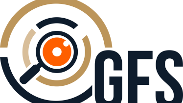 Global Fieldwork Solutions, nueva compañía de investigación