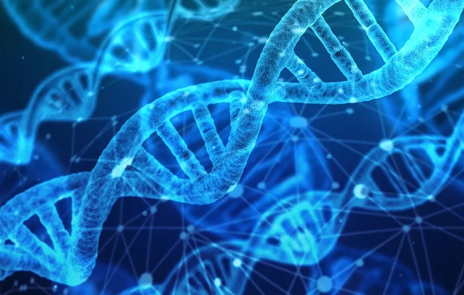 FCB Health y McCann Health se integrarán en IPG Health