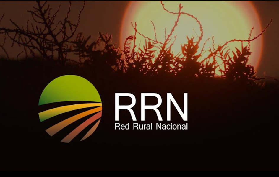 MediaSapiens comienza a trabajar para Red Rural Nacional