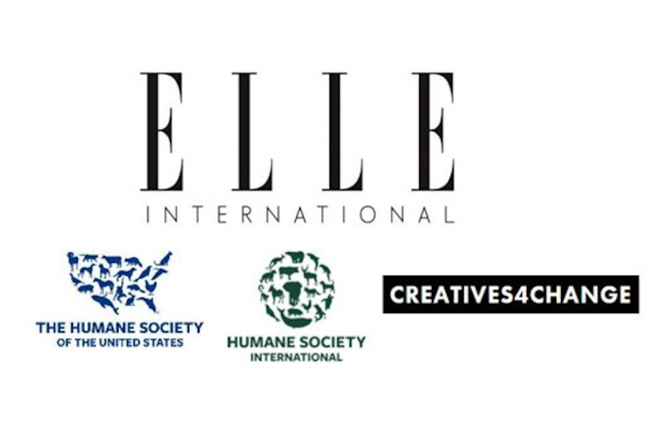 ‘Elle’ destierra las pieles de animales de sus contenidos y publicidad