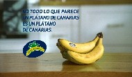 Plátano de Canarias
