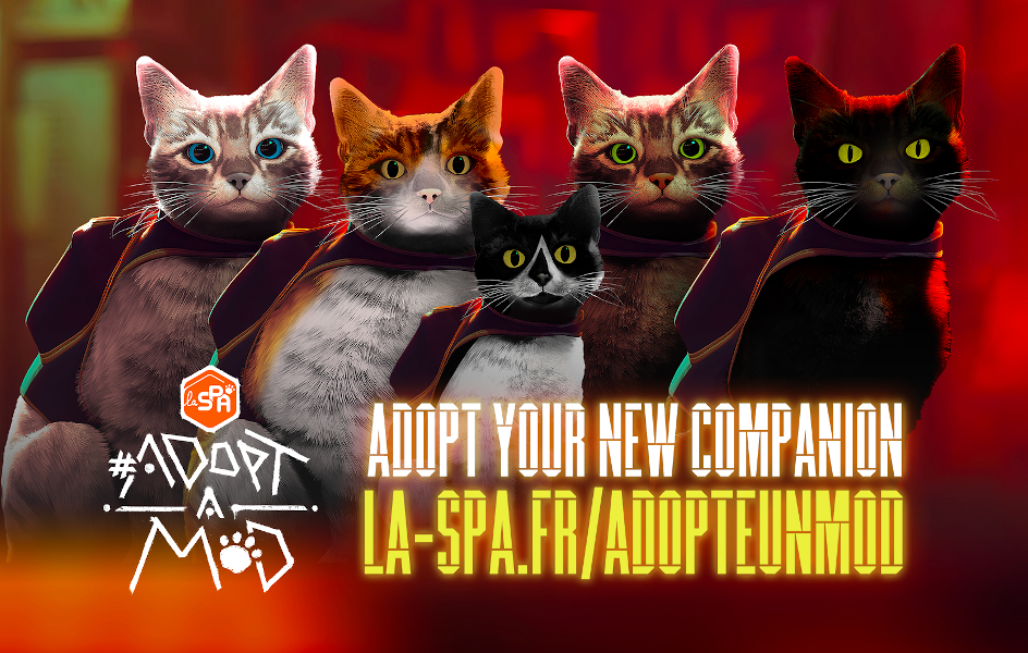 ‘Gaming’ para salvar gatos