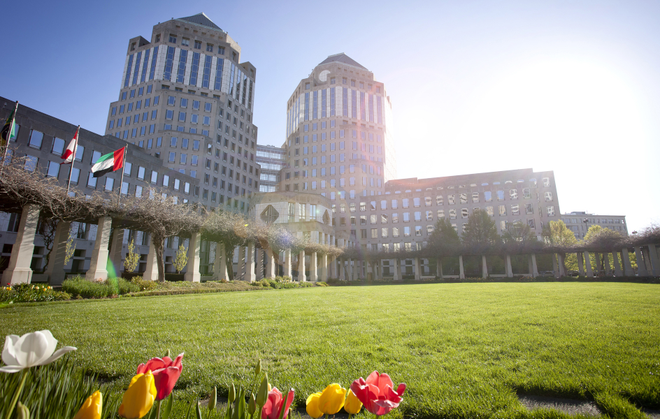 P&G y la eficiencia del marketing