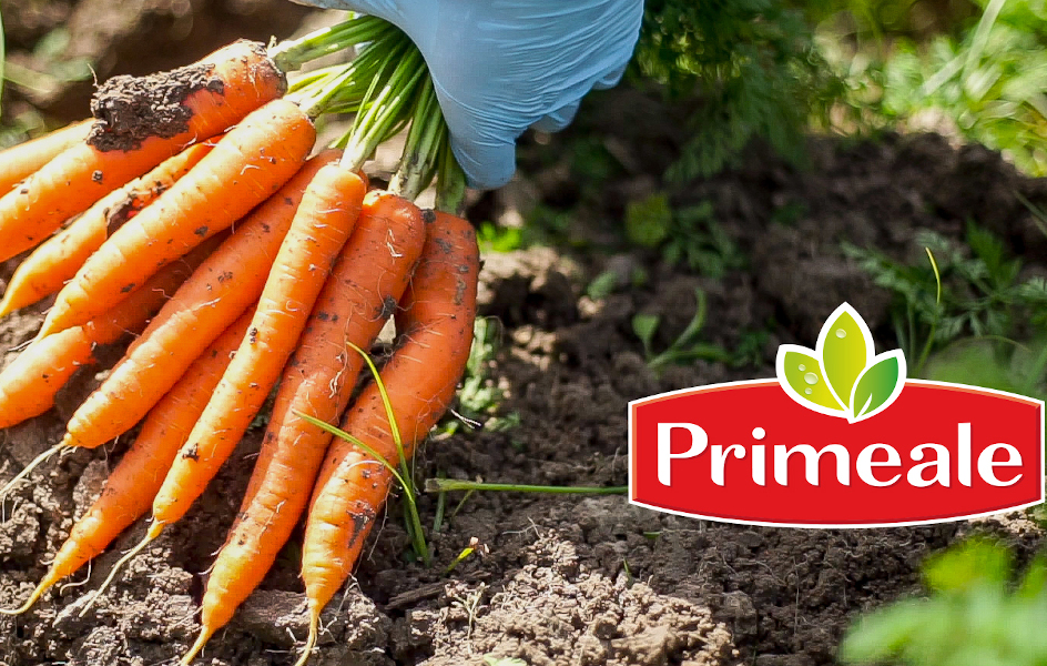 Parnaso gana una cuenta global del sector de la alimentación