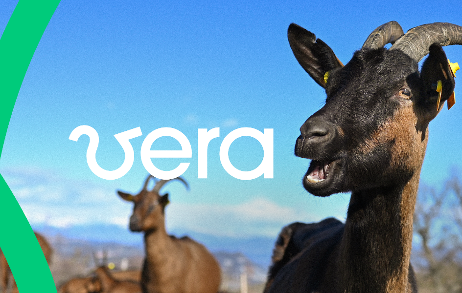 Summa Branding lanza Vera, nueva compañía de telecomunicaciones catalana